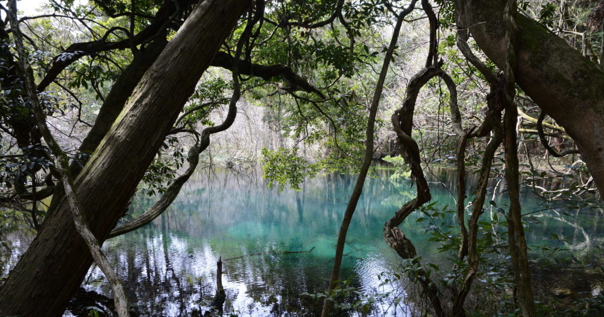 遊佐町　丸池様