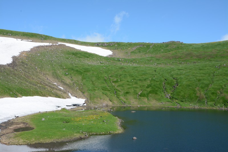 鳥海湖のニッコウキスゲ